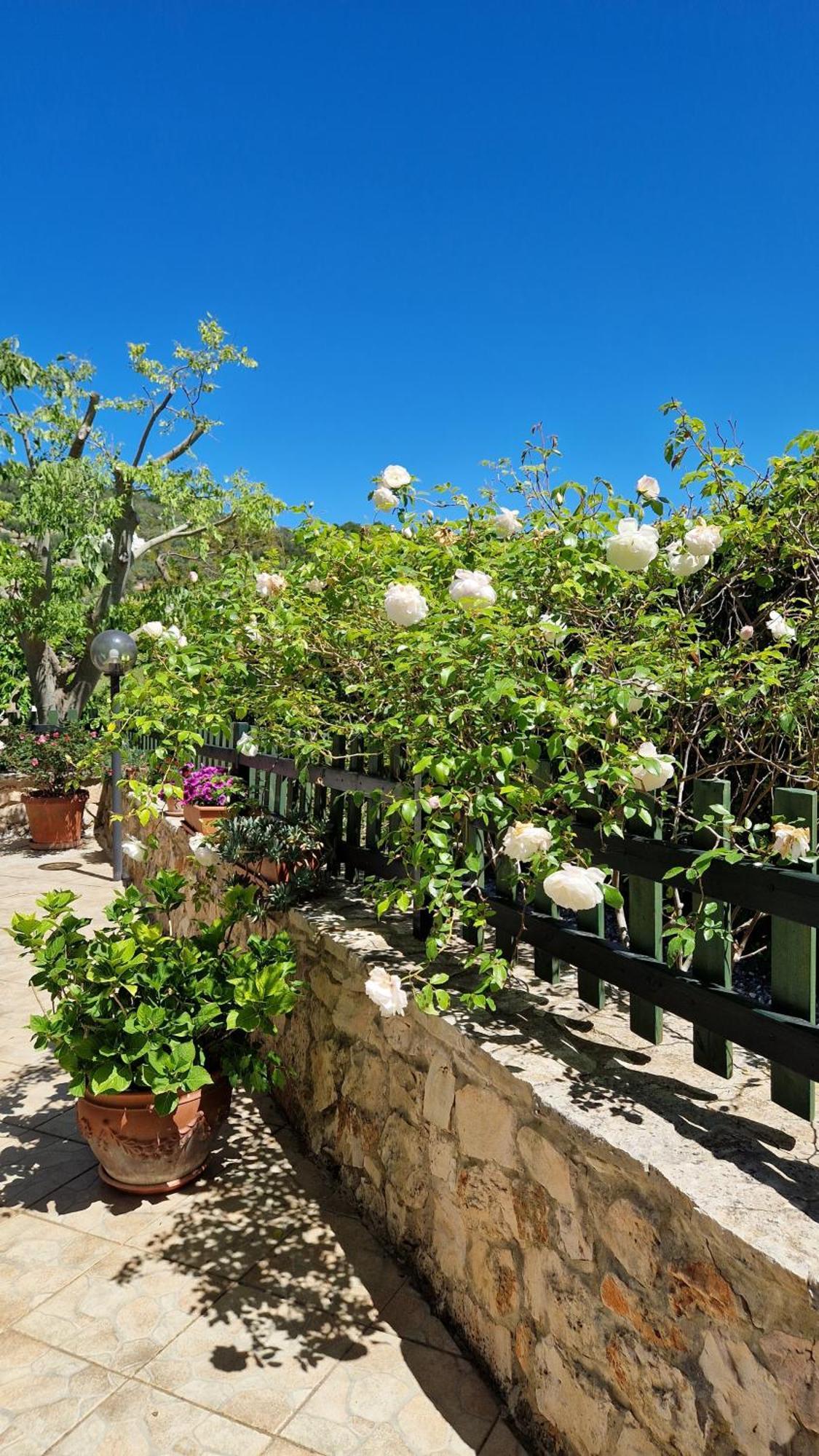 Trullo Grande Noce Villa Ostuni Dış mekan fotoğraf